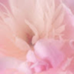 Meet your Posher, Bleh